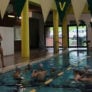 Saint Vincent College Nike Swim Camp Pool Coach