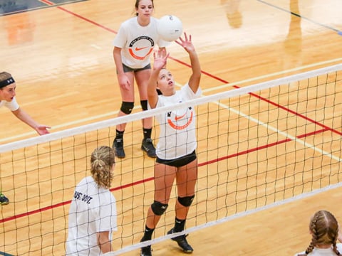 4 Tips For Setters