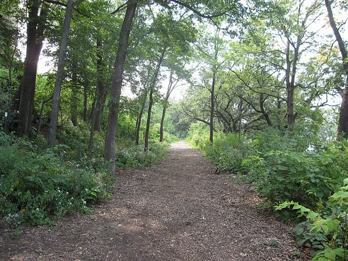 St._Marys_trails.jpg