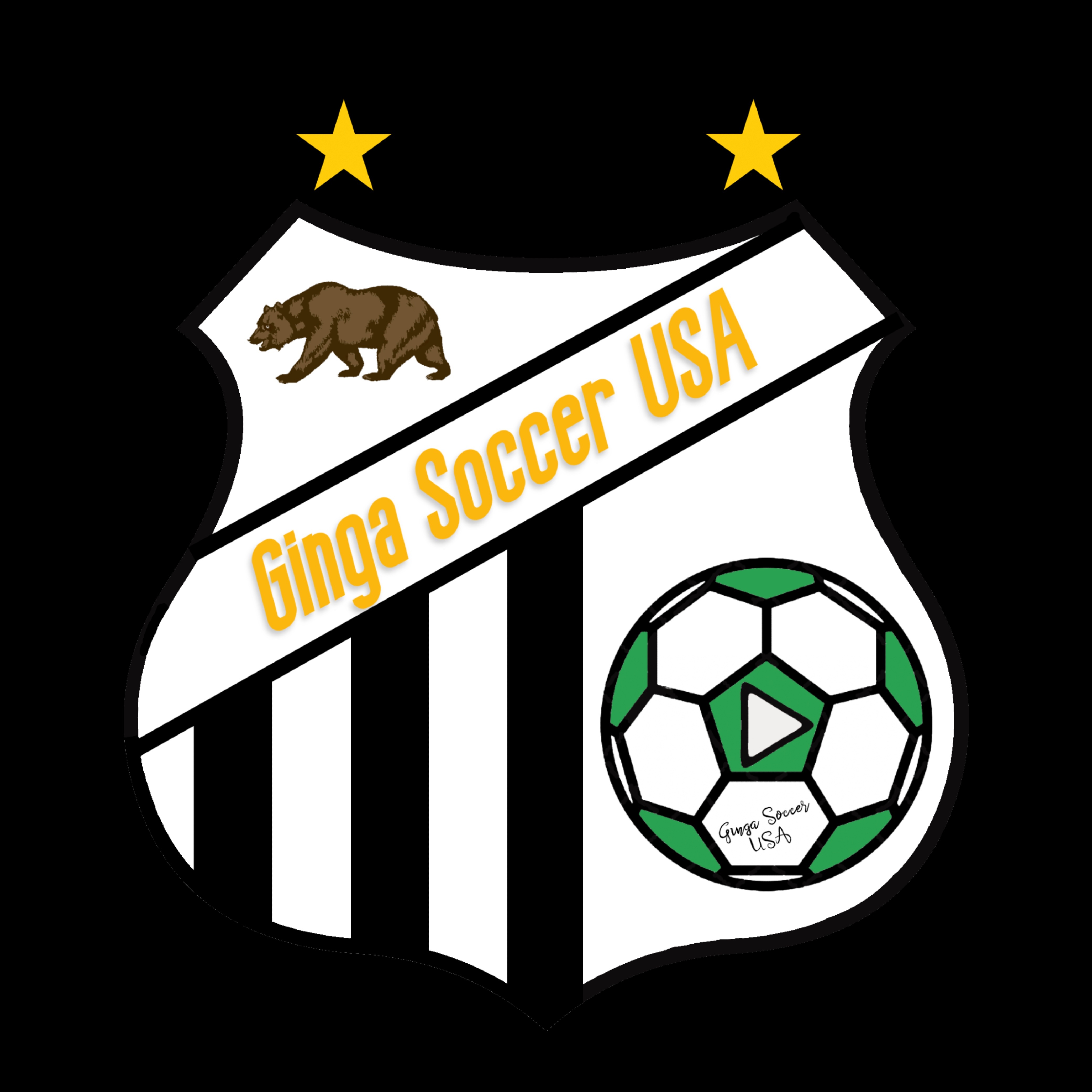 Logo Ginga soccer USA4 1