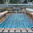 Cougar Swim Camp at the University of Houston