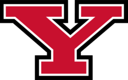 Youngstown state penguins logo 768x481