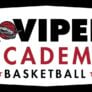 Jr Vipers Academy Logo png 002