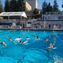 Cal Water Polo swimming 3