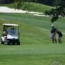 Linfield National 6