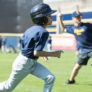 Uc Berkeley Baseball Camp