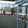 Cartan Field 6