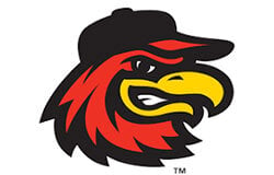 Redwings Logo 1