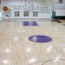 Curry College Miller basketball Gym in MA