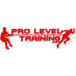 Pro level training