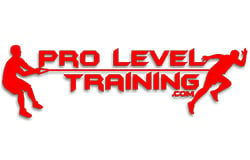 Pro level training Logo