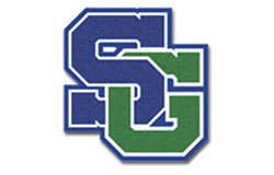 St Georges Tech Logo 250X160