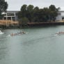 Cal Womens Crew Girls On Boat Of Eight