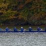 Duke Rowing On Water