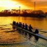 Usd crew rowing sunset