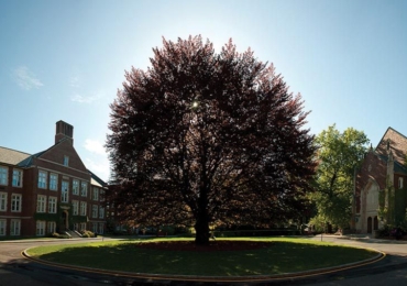 Worcester Polytechnic Institute Campus