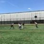 Adelphi University Field Hockey Practice Game