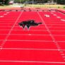 Clark Atlanta University FBNDPS Gallery 2