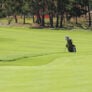 Nike Junior Golf Camp chipping onto green png