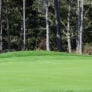 Nike Junior Golf Camp putting green png