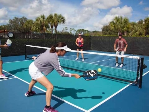 What is pickleball group rally
