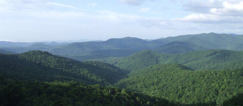 Smoky Mountain Running Camp Feature