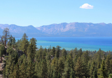 Tahoe Trail Shot News