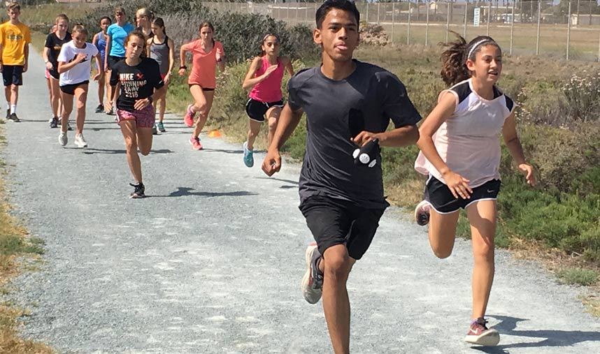 Cross Country Training  Cross Country Running Tips