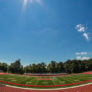 Sacred Heart Gallery Field