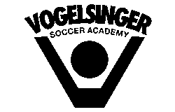 Vogelsinger 250x160