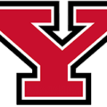Youngstown State Penguins 250x160