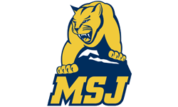 Msj lion