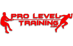 Pro Level Train