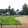 Softball campers lined up in the outfield for drill