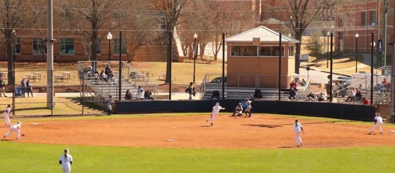 Cougar field 1