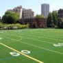 Stott Community Field 4