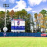 Cougar field 3