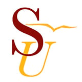 Salisbury Logo 1