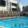 Stanford Swim Camp Ted Knapp Pool Deck