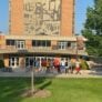 Bowling green swim camp library