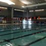 Oregon State Pool Lanes Nike Swim Camp
