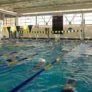 Whitman College Pool Lanes Nike Swim Camp