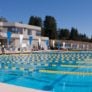 Uc Santa Cruz Pool Nike Swim Camp