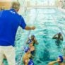 Peak Performance Swim Camp Mt Kisco Coach Baker