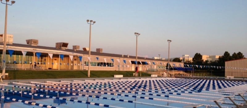 Peak Performance Swim Camp Ntc Orlando Fl