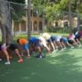 Rollins Stretch On Fence