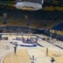 Uc Berkeley Volleyball Camp Court Training