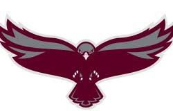 UMES logo