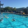 Cal Water Polo Camp Action